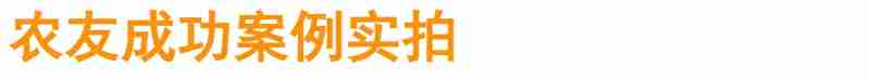 安徽青龙湾国家森林公园。(安徽省林业局供图)