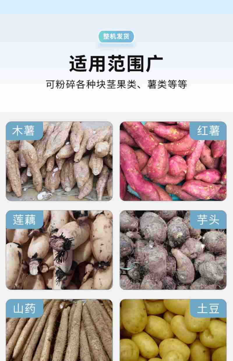 图源:肇庆台